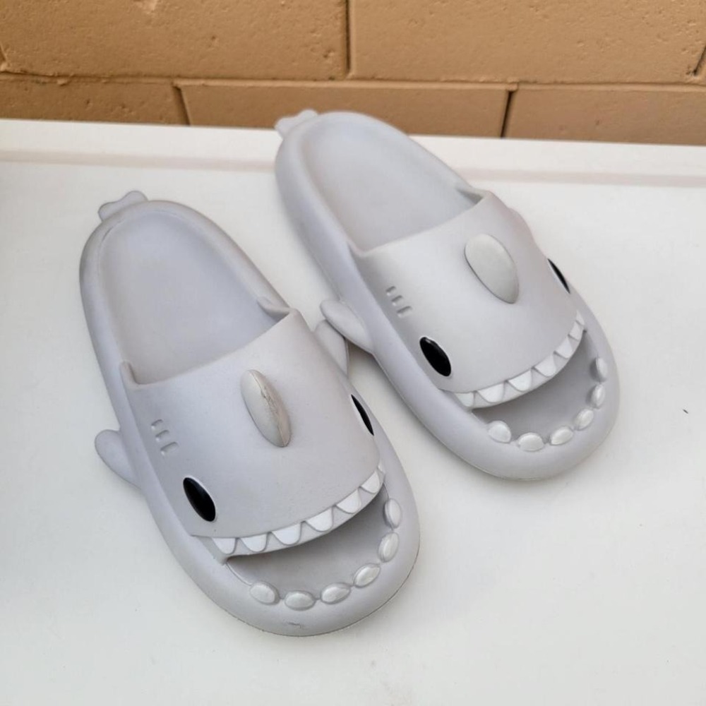 Shark slides - Picture 3 of 4